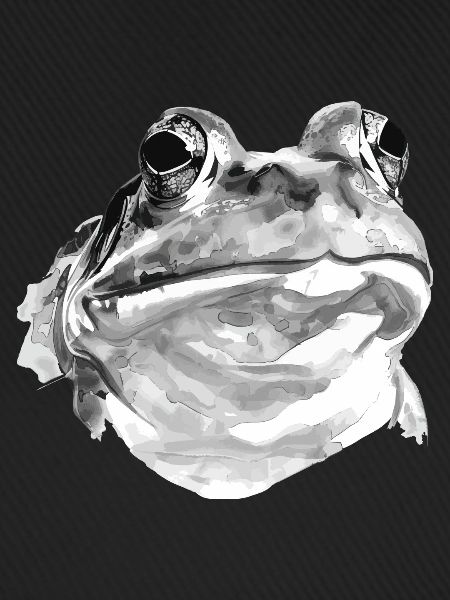Frosch
