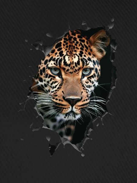 Leopard