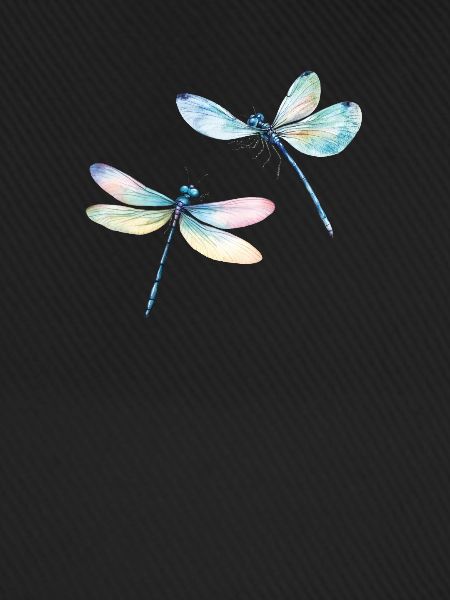 Libelle Duo Dragonfly Duo