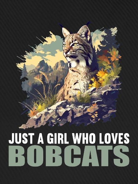 Bobcats Rotluchse Rotluchs Luchs