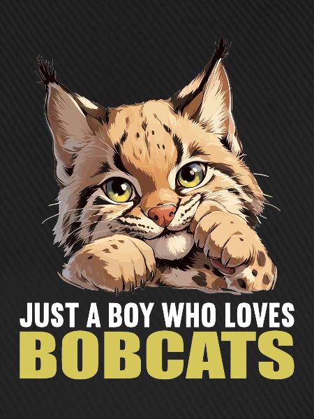 Bobcats Rotluchse Rotluchs Luchs
