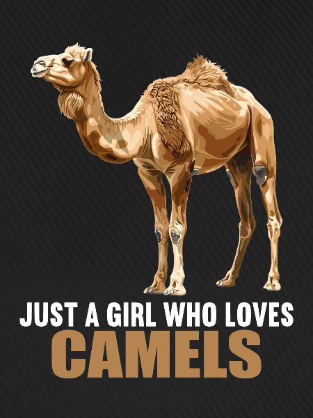 Camel Kamele Kamel