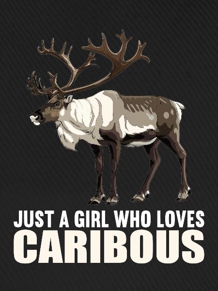 Caribou Karibus Karibu
