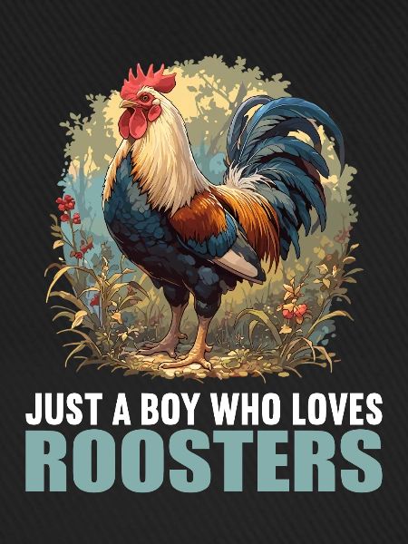 Rooster Hähne Hahn
