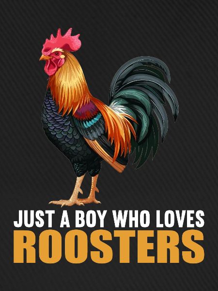 Rooster Hähne Hahn