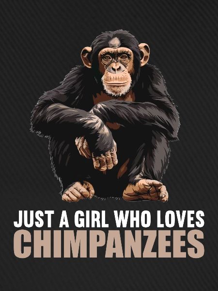 Chimpanzee Schimpansen Schimpanse