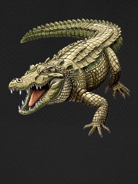Krokodile Krokodil
