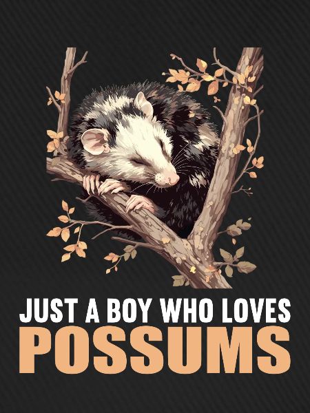 Opossum Opossums