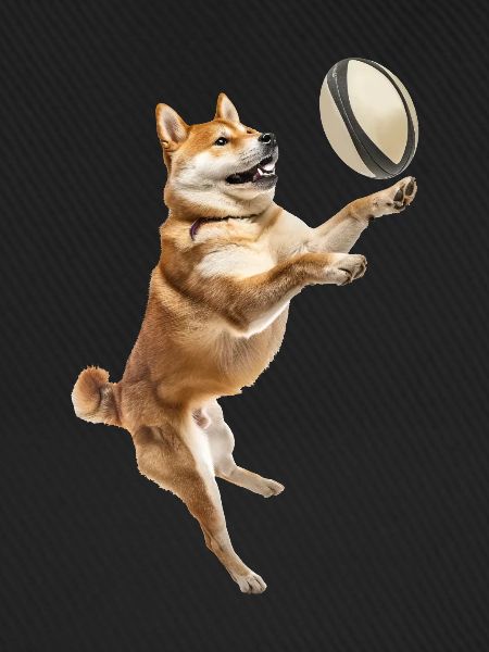 Shiba Inu