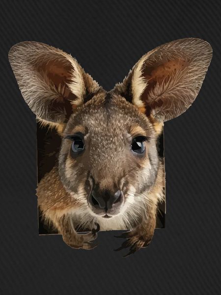 Wallaby