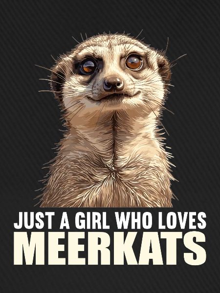 Meerkat Erdmännchen