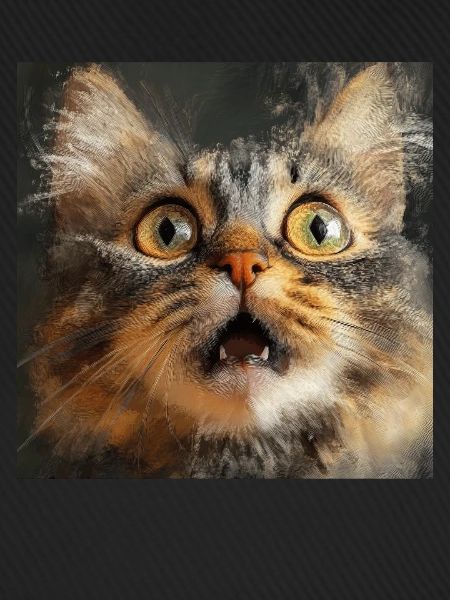 Maine Coon
