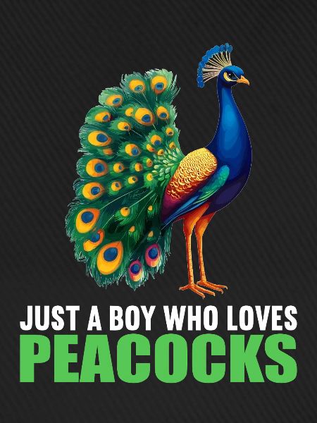 Pfaue Pfau