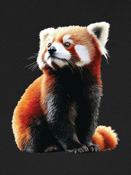 Roter Panda
