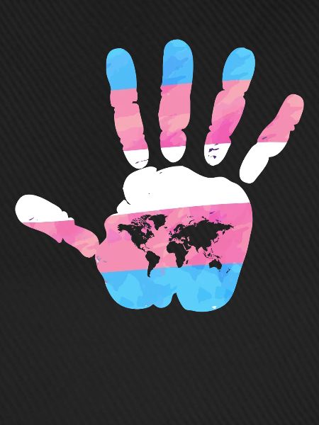 Transgender Trans LGBT Pride