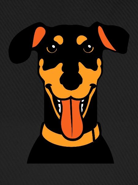Dobermann
