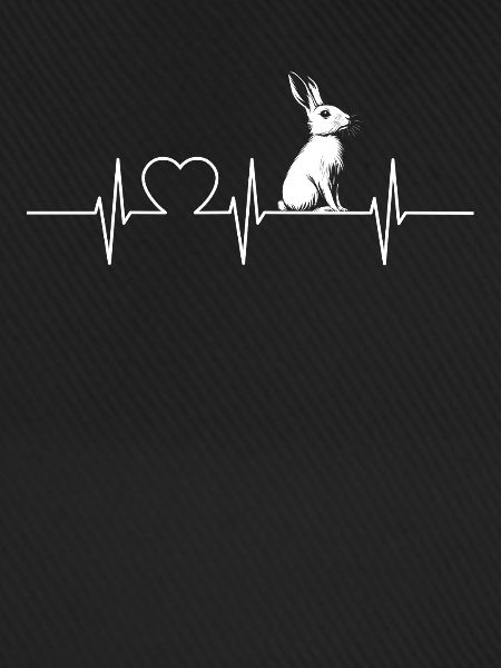 Hasen Hase
