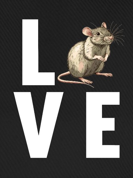 Ratten Ratte