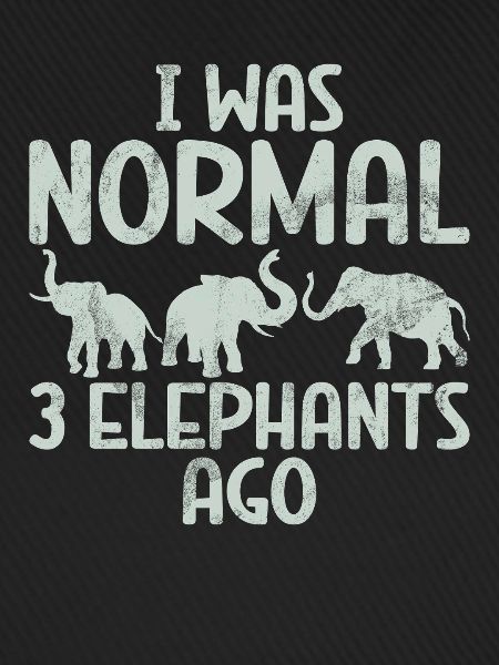 Elephant Lovers Gifts