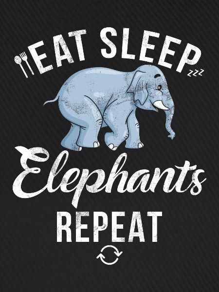 Elephant Lovers Gifts