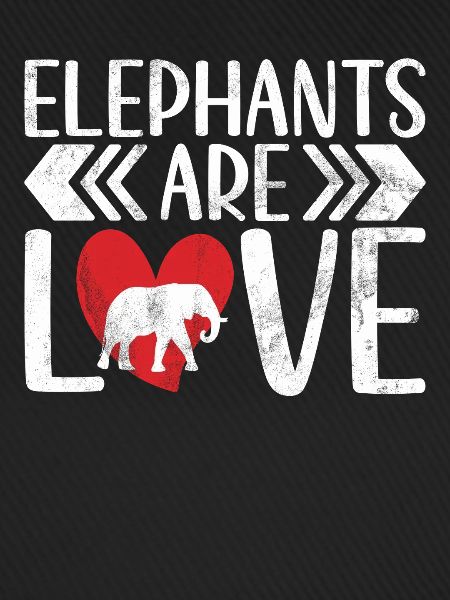 Elephant Lovers Gifts