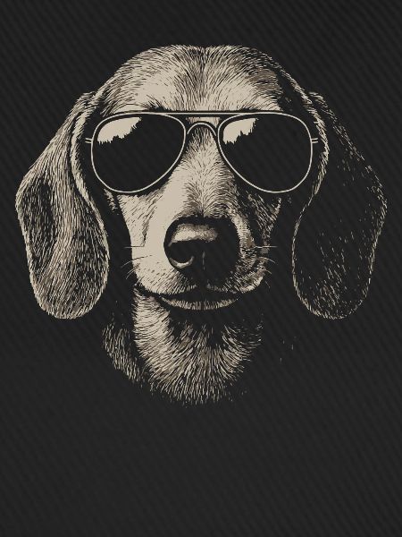 Coole Dackel Hund Pilotenbrille Skizze