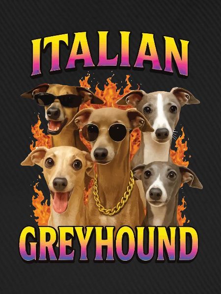 Italienisches Windspiel