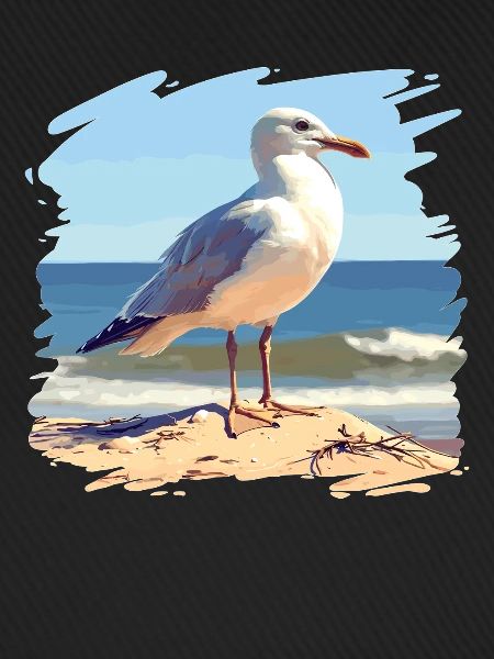 Möwen Möwe