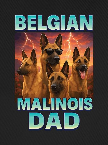 Belgischer Malinois