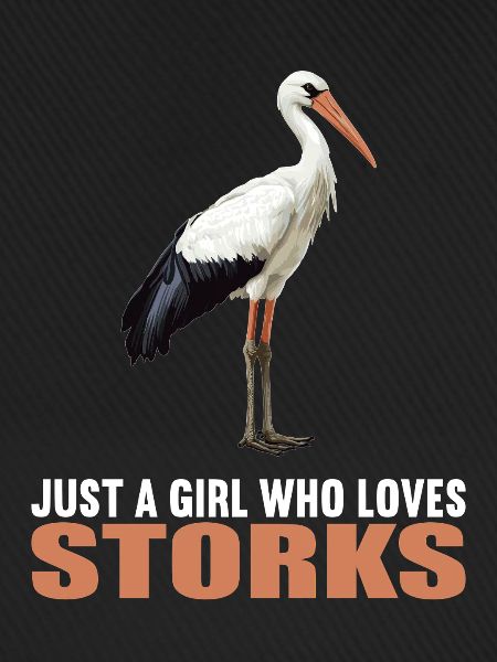 Störche Storch