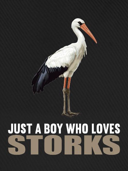 Störche Storch