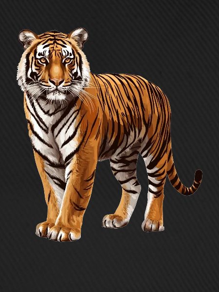 Sumatra-Tiger
