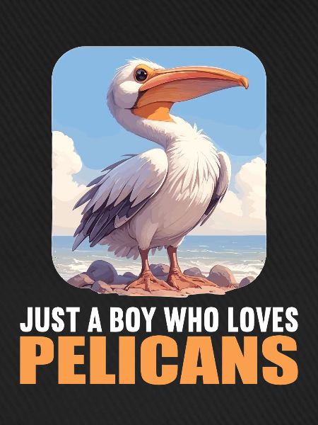 Pelikane Pelikan