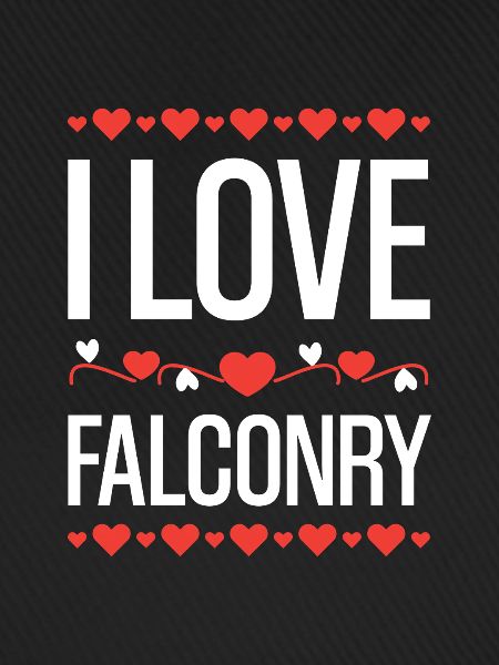I Love Falconry