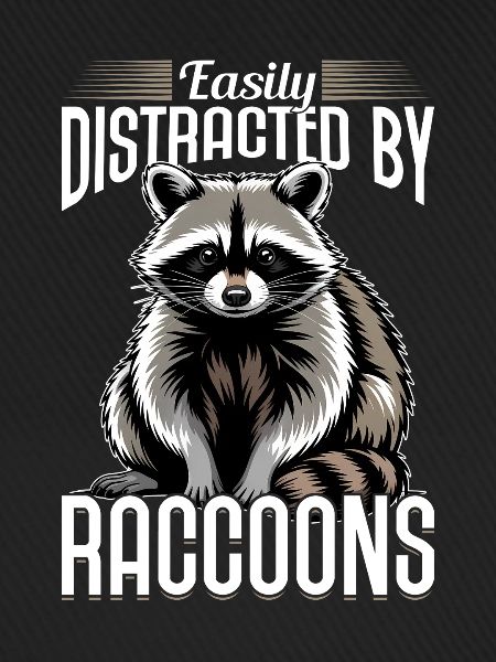 Funny Raccoon
