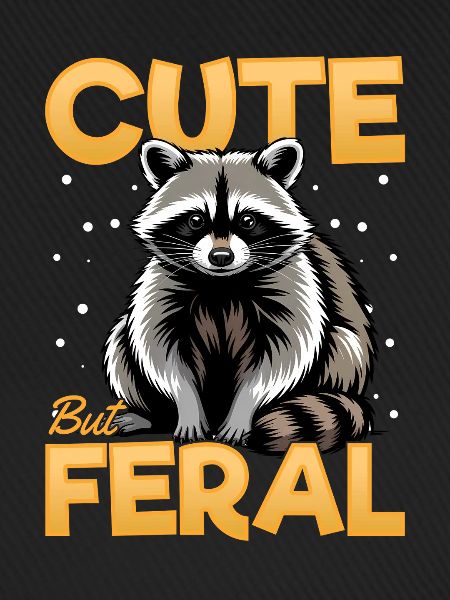 Funny Raccoon