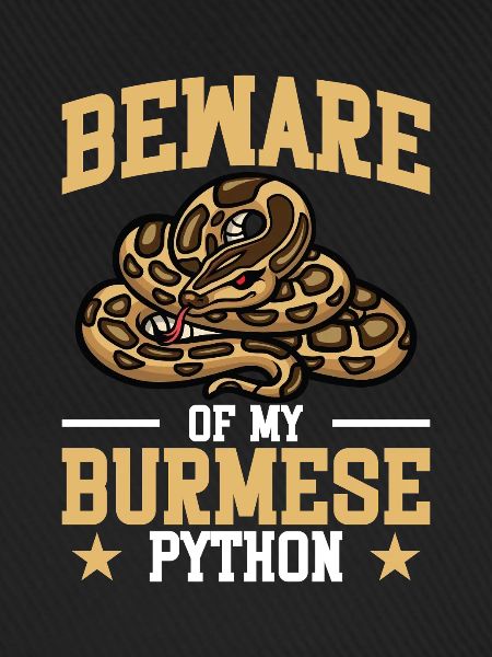 Burmesischer Python-Plüschschlangenliebhaber Reptilien-Burmeser