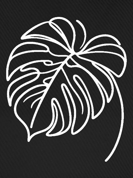 Monstera Blatt Weiß
