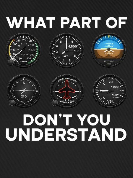 Flugzeug Flug Pilot Flugzeug Fluggesellschaft