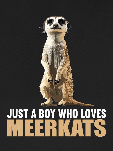 Meerkat Erdmännchen