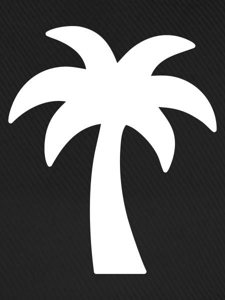 Palme - endloser Sommer