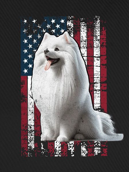 German Spitz US Spitz Zwergspitz