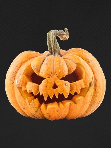 Pumpkin Halloween