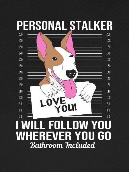 Bullterrier