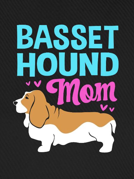 Basset Hound