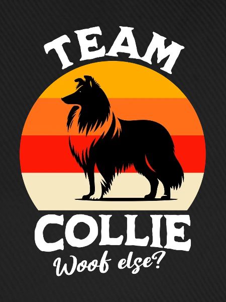 Team Langhaar Collie