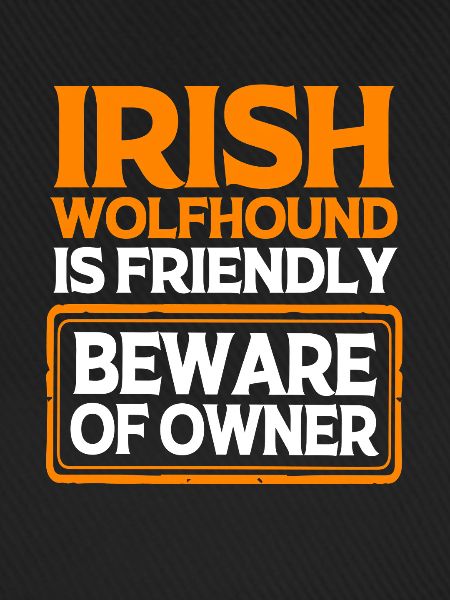 Irischer Wolfshund