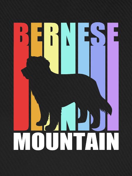 Berner Sennenhund