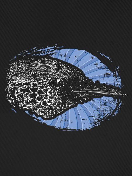 Vogel Ornithologe