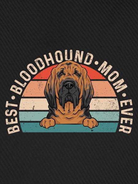 Bloodhound Hund Bluthund